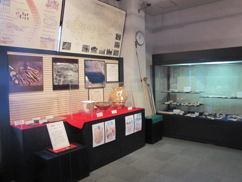遺跡に関する展示物