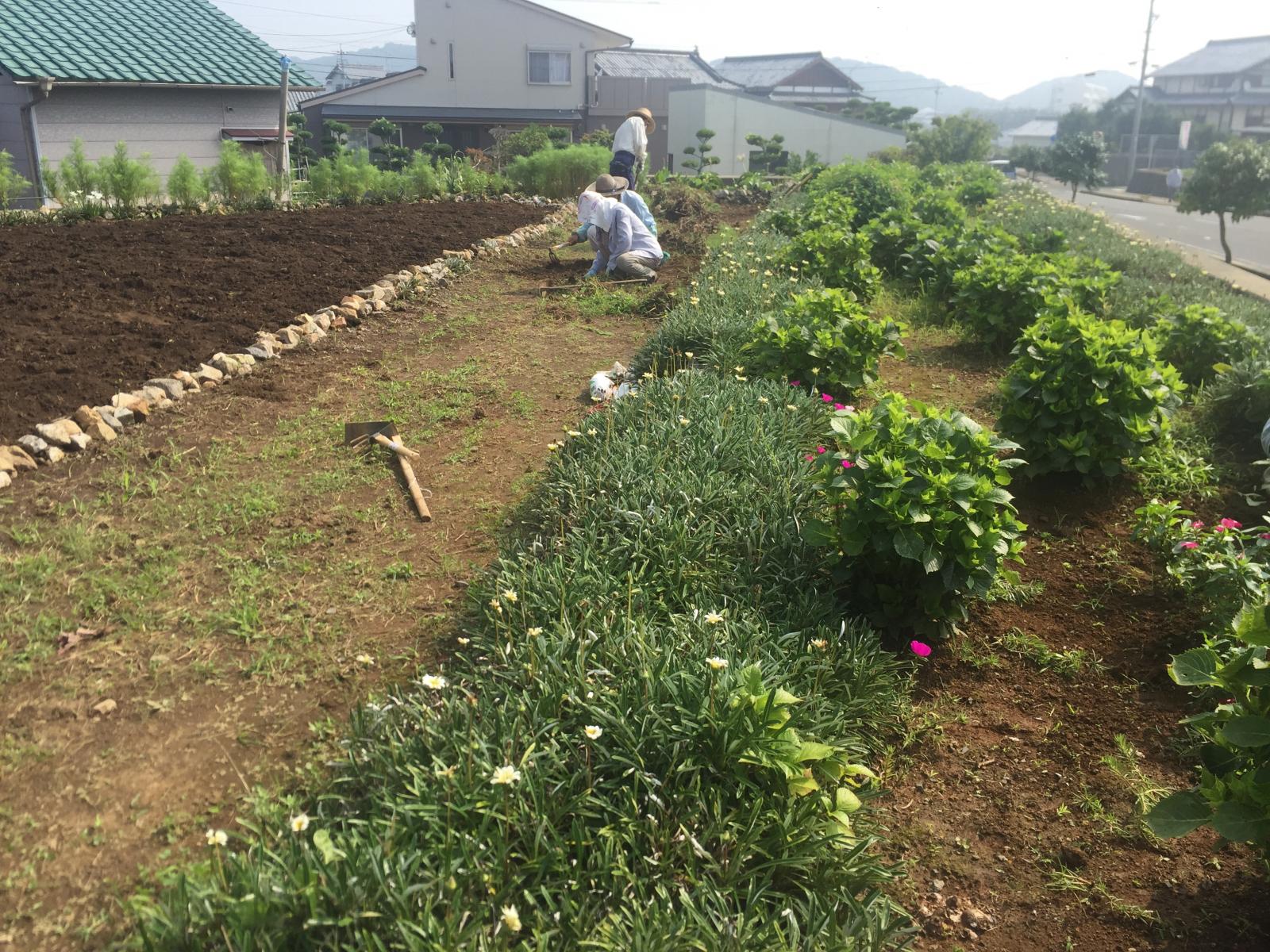 整備された花壇