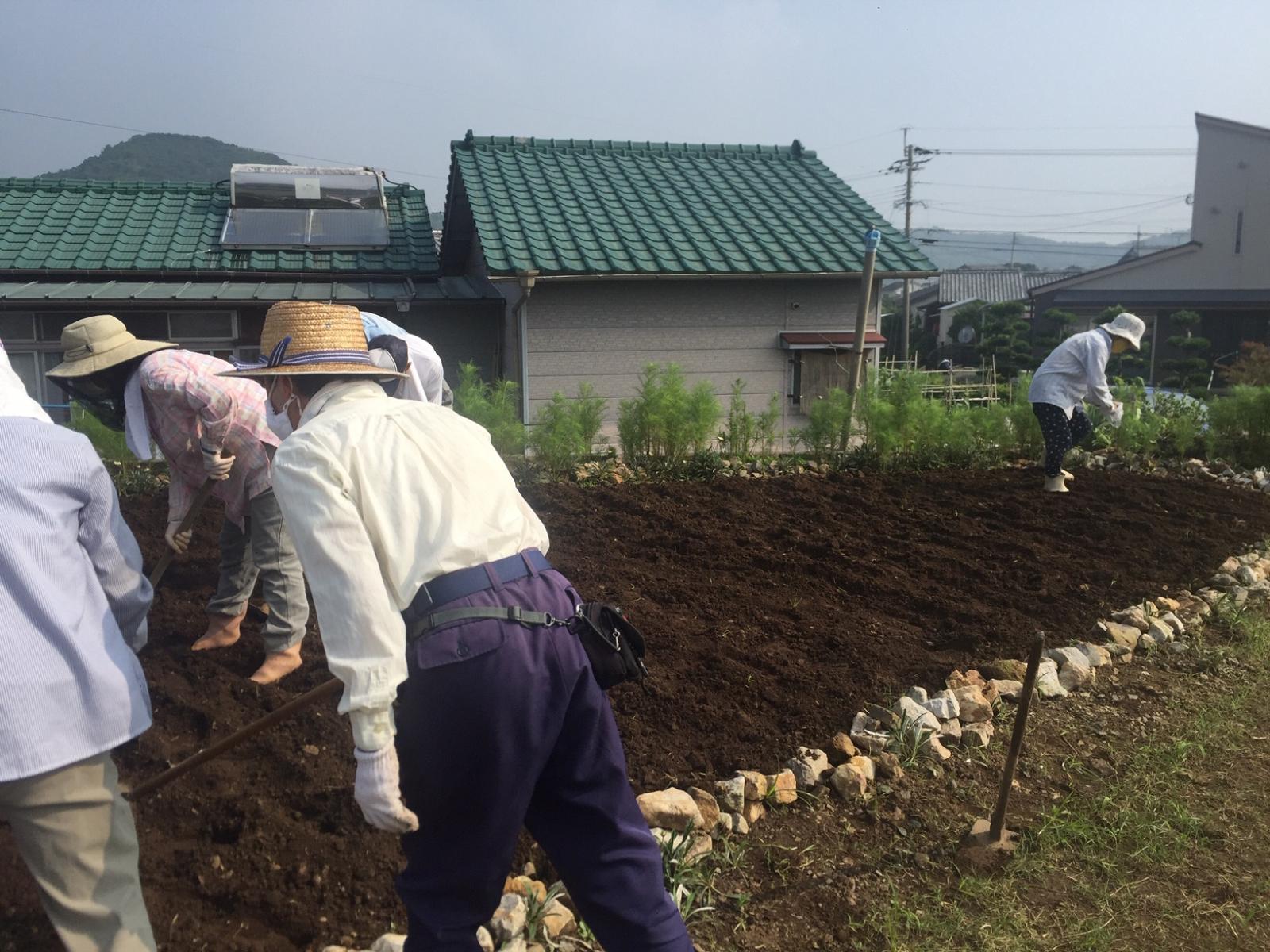 種まきの様子