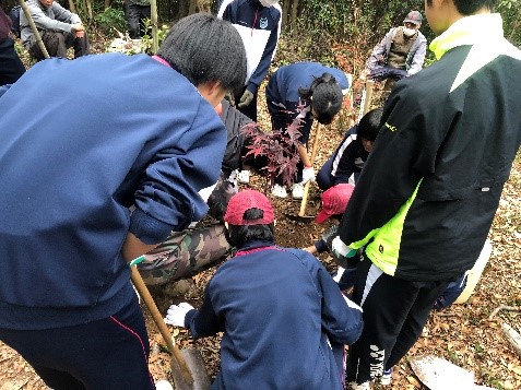 卒業記念植樹（モミジ）の画像