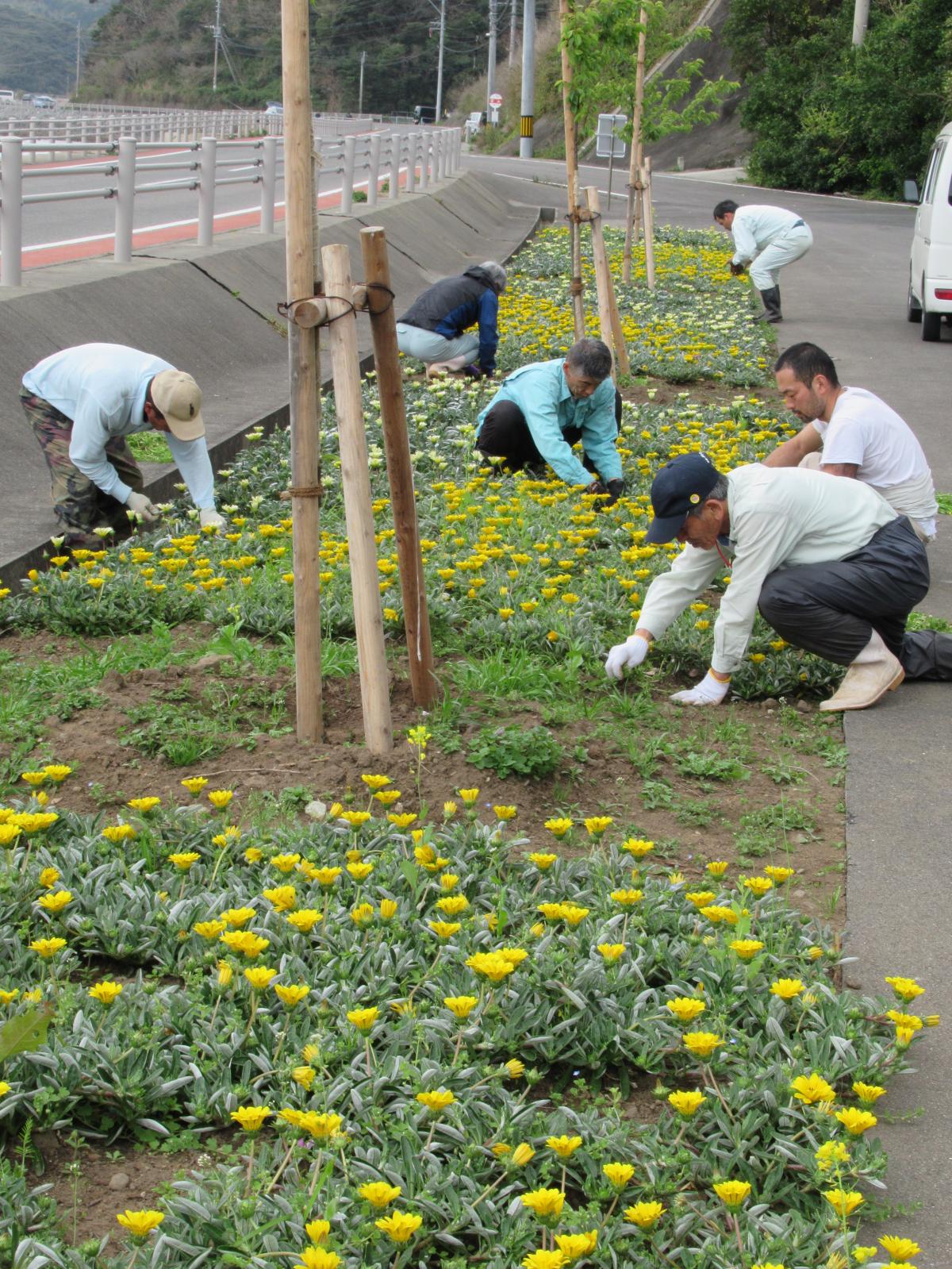 奥浦地区景観整備事業実施時の様子