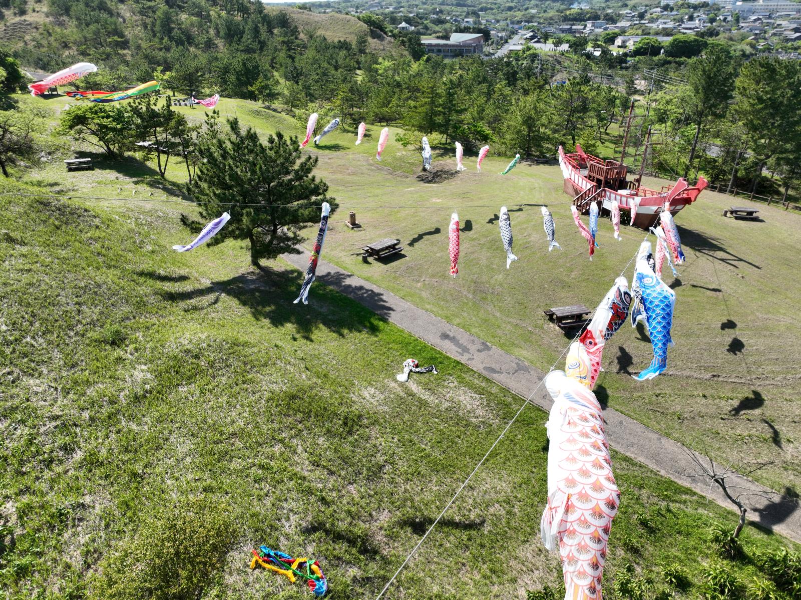 鯉飾り事業➁DJI_0136.JPG