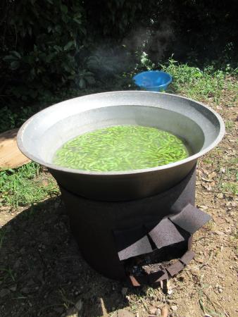 奥浦かたらんね農園枝豆を茹でる様子