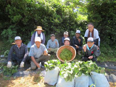 奥浦かたらんね農園枝豆収穫集合写真
