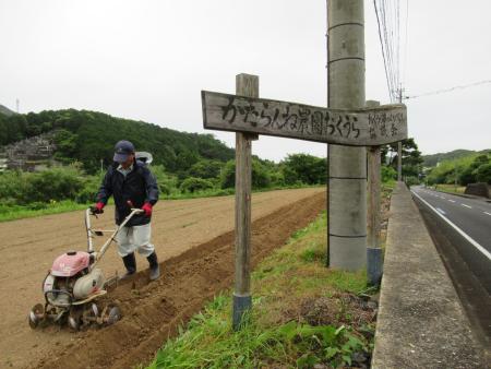 かたらんね農園おくうら事前作業.jpg