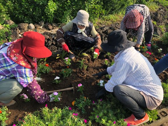 花の苗植え作業の様子2