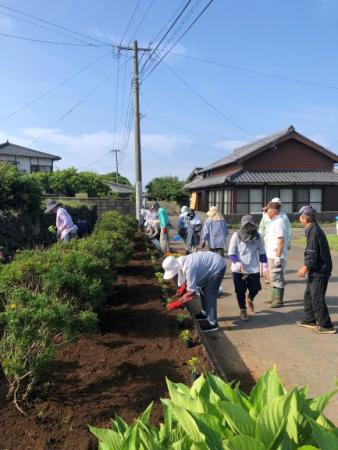 花の苗植え作業の様子