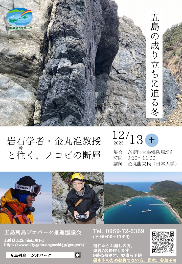 チラシ画像の画像