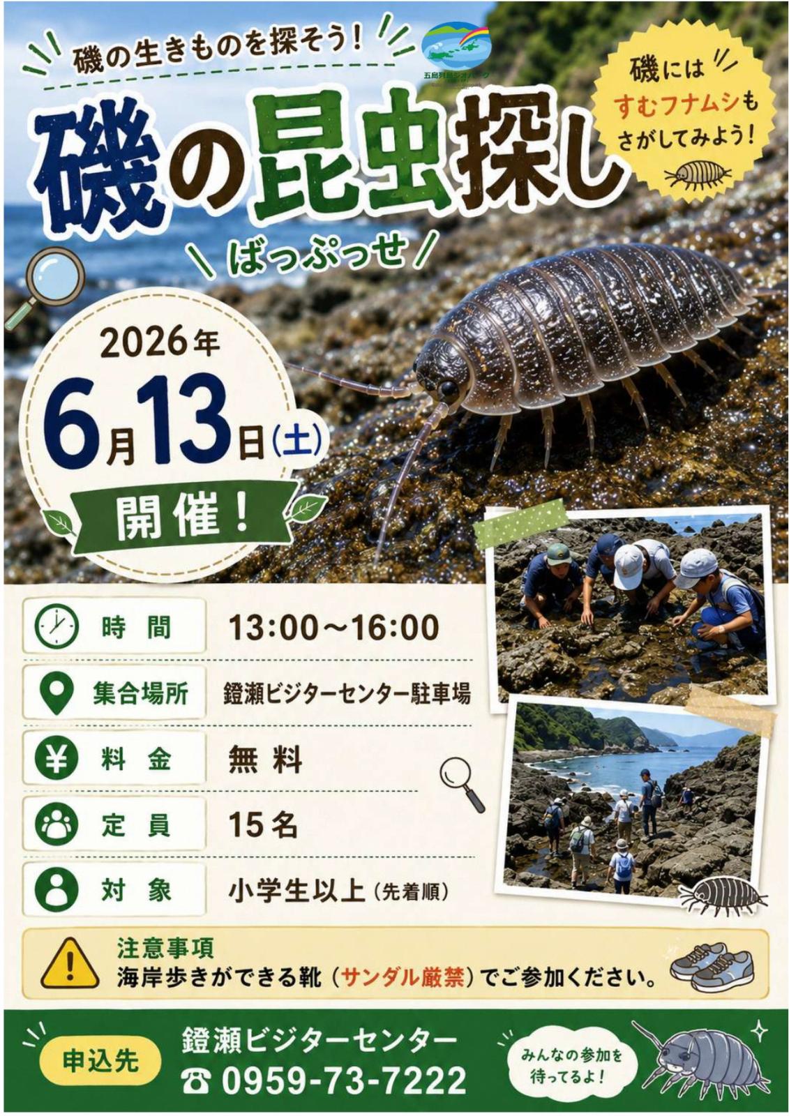 磯の昆虫さがしチラシの画像