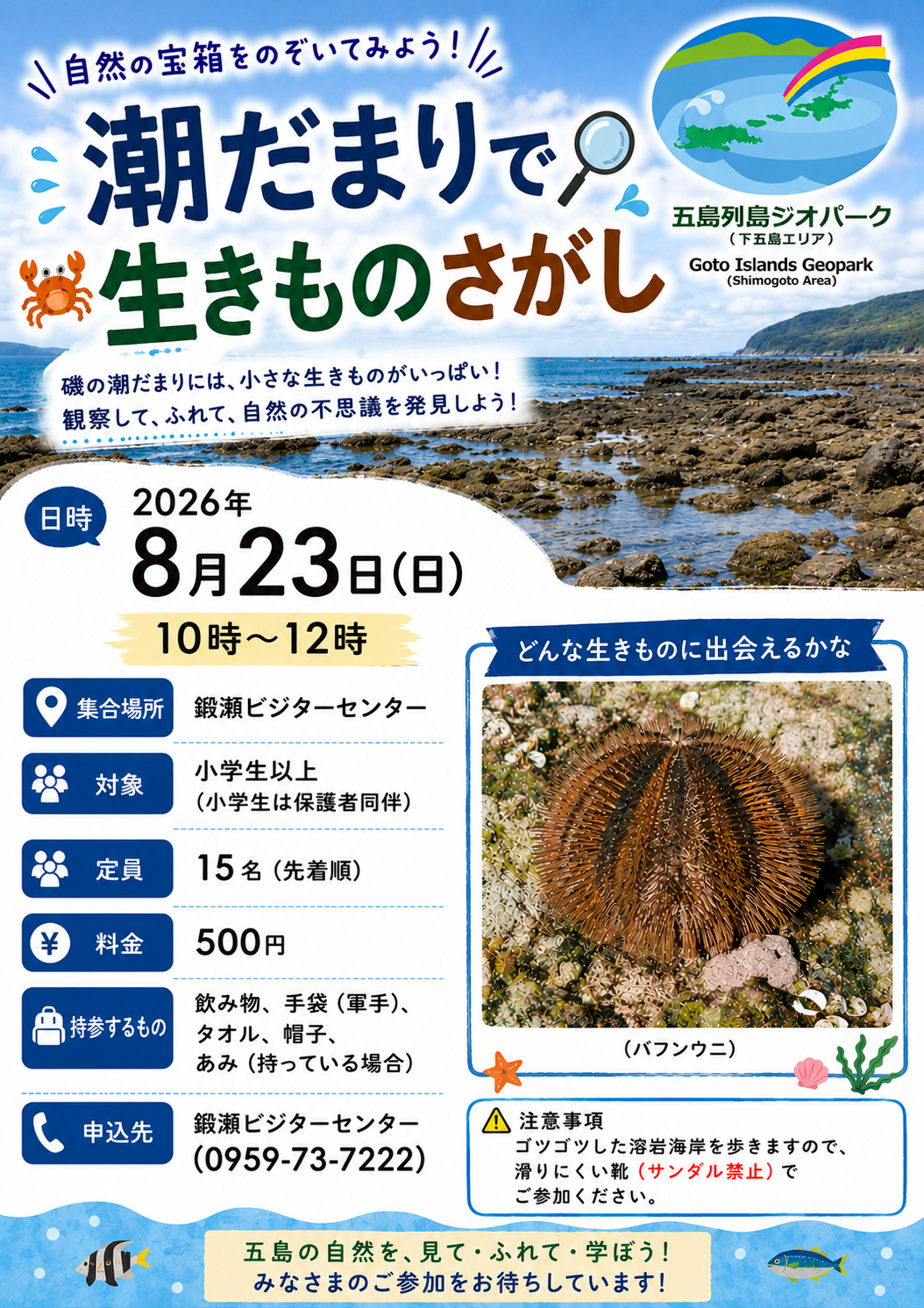 潮だまりで生きものさがしの画像