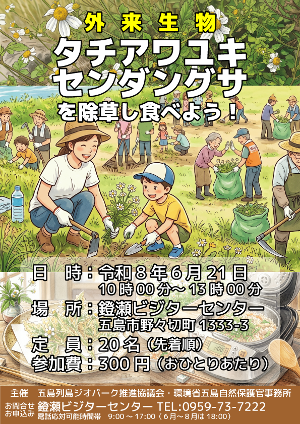 「外来生物タチアワユキセンダングサを除草し食べよう!」チラシの画像