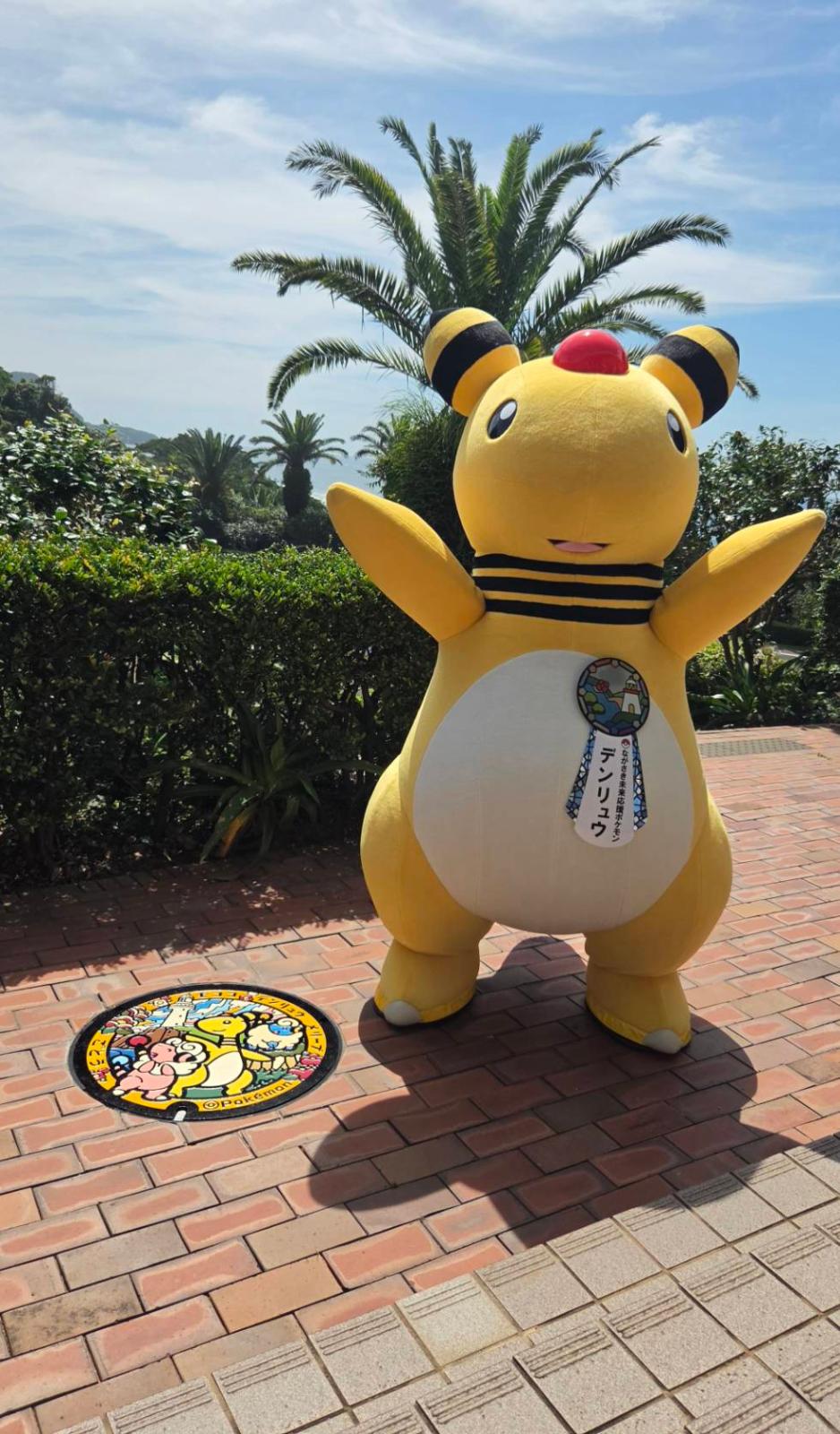 長崎未来応援ポケモンのデンリュウとポケふたの画像の画像
