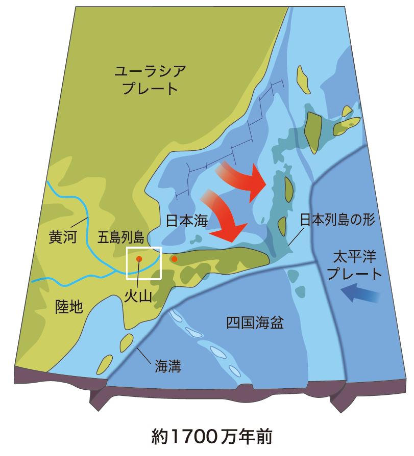 成り立ち①-1