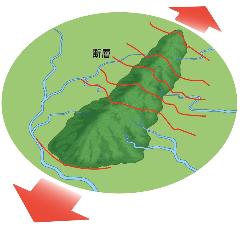 成り立ち②