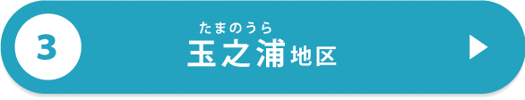 五島市各地区の特徴（玉之浦）