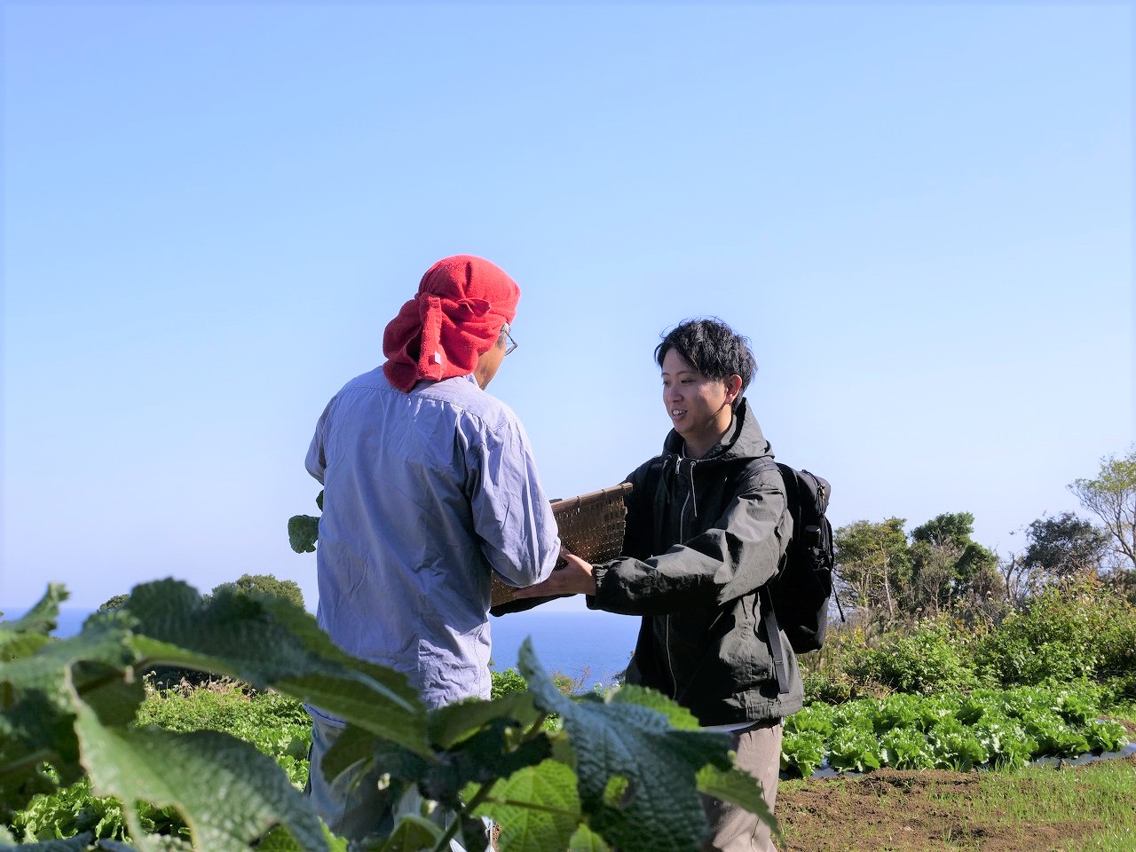 野菜をもらう若者
