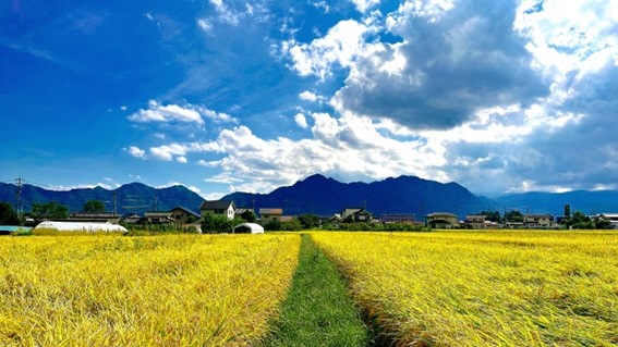 田舎の風景.jpg