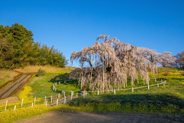 地方移住成功のカギ_fukushima.jpg