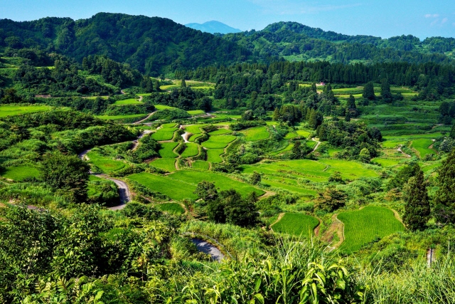 地方移住成功のカギ_niigata.jpg