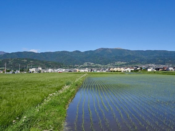 二段階移住とは？魅力や注意点、失敗や後悔しないための秘訣1