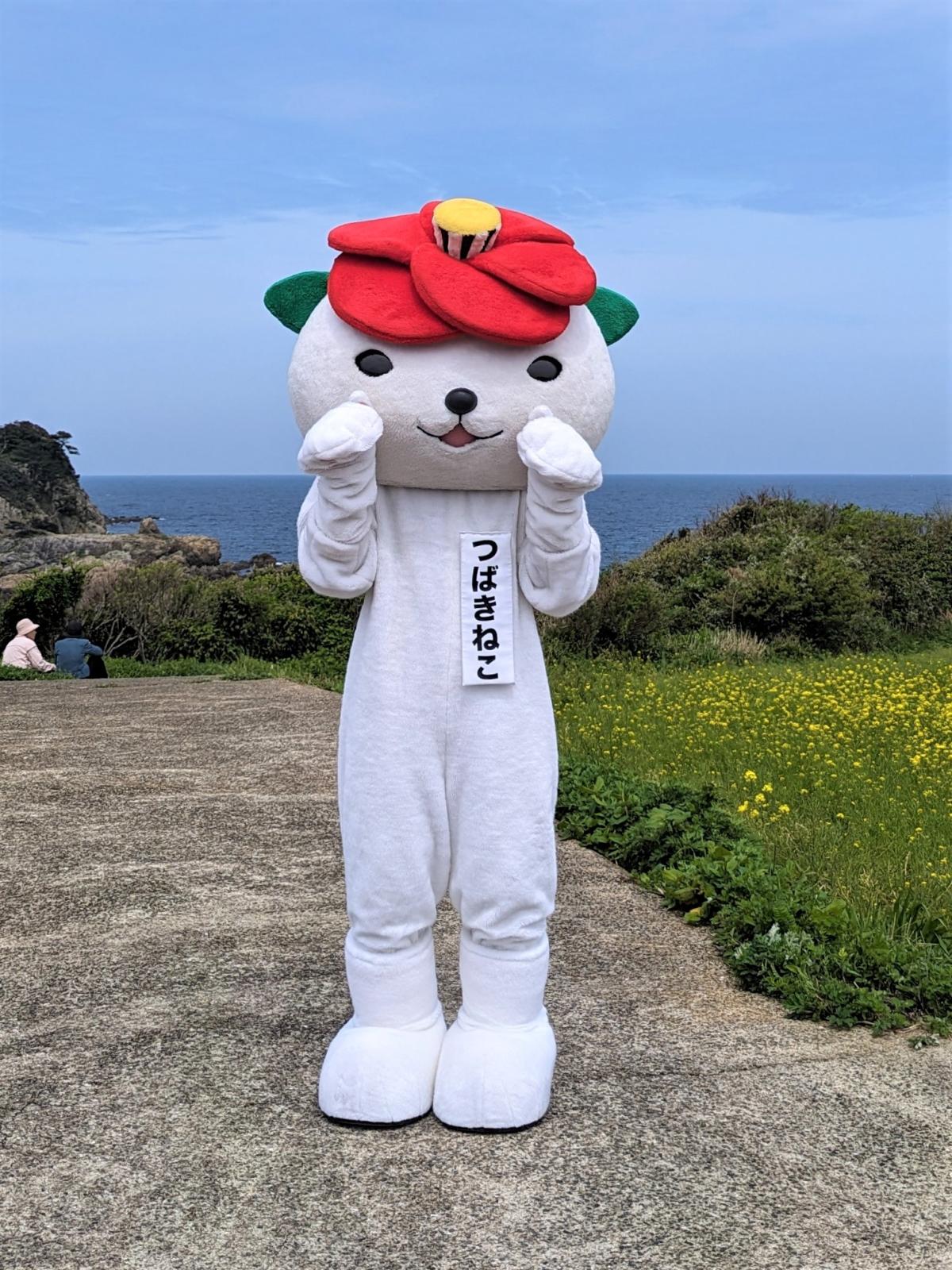 20250510_510prevent_tsubakineko.jpg