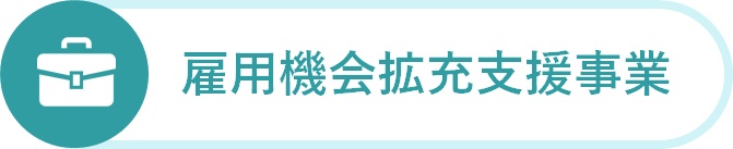 起業や事業拡大の支援