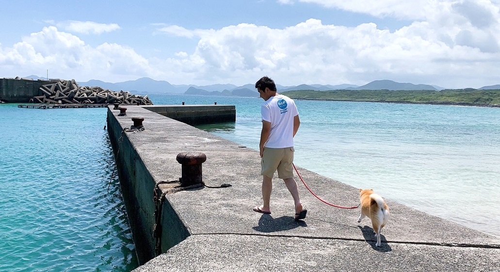 防波堤で犬の散歩