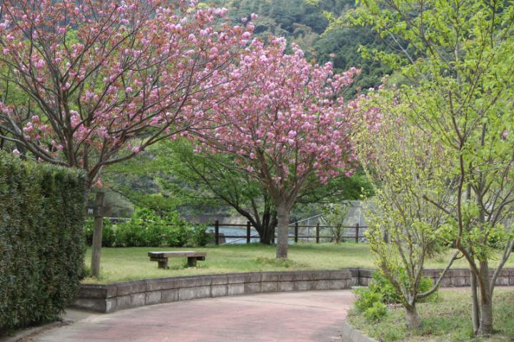 白良ヶ浜万葉公園2の画像