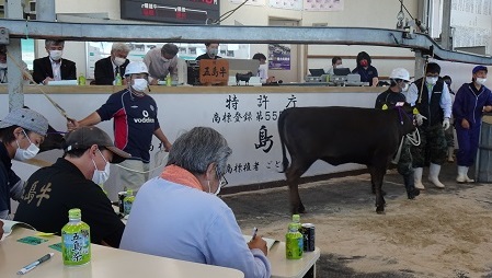 子牛せり市の様子