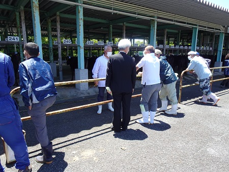 子牛せり市を見学する市長