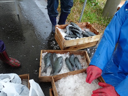 三井楽の産品