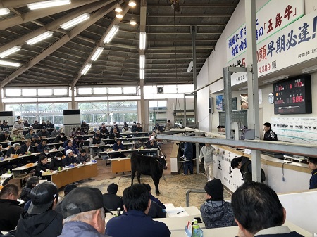 令和２年子牛初せり市２