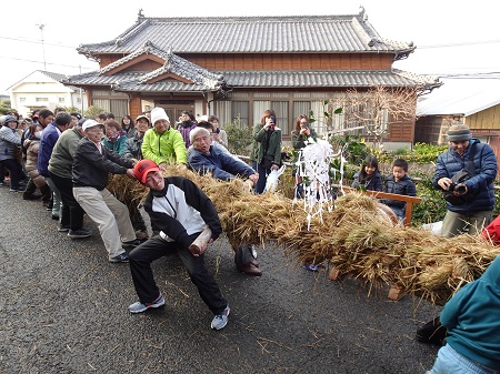 吉田の綱引き3