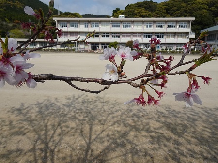 五島市立奥浦中学校、崎山中学校入学式1