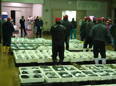 福江魚市場　初せり1