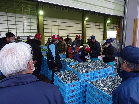 福江魚市場　初せり2