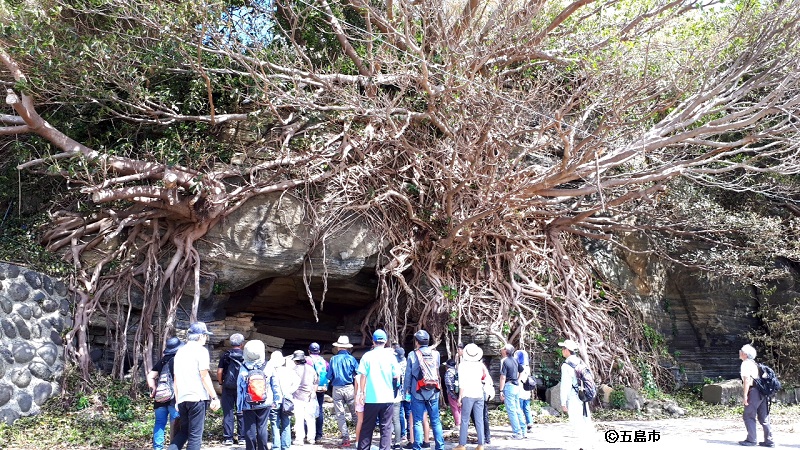 岩壁に枝を伸ばすアコウの木と、それを観察する参加者たちの写真