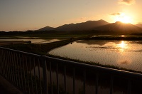 田んぼに映る夕陽（野々切町）