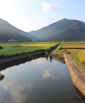 岐宿町河務の田園風景。山々の緑と田んぼの色合うが美しい。