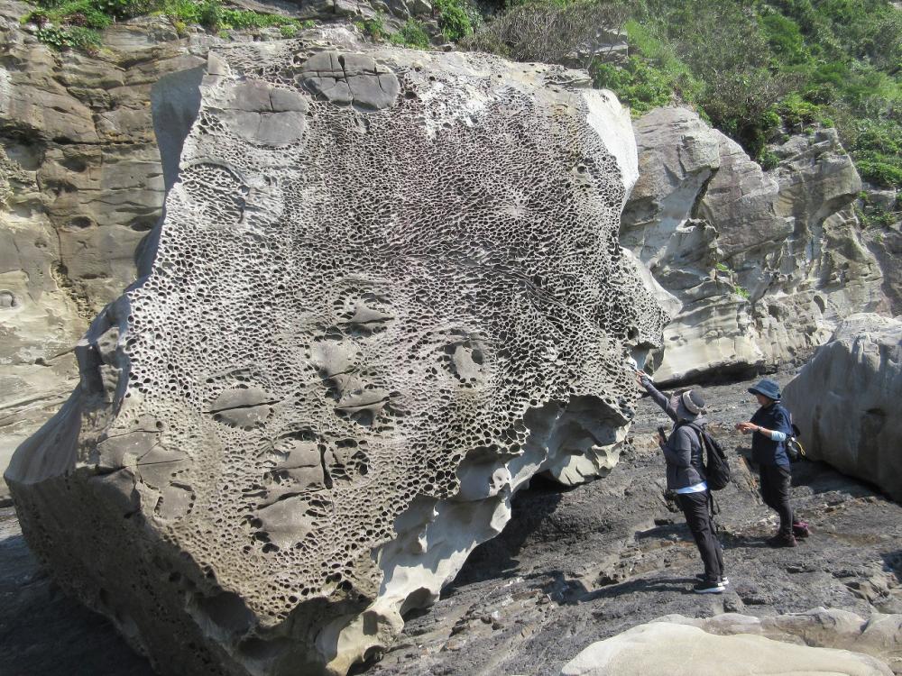 タフォニが見られる珍しい巨大な岩