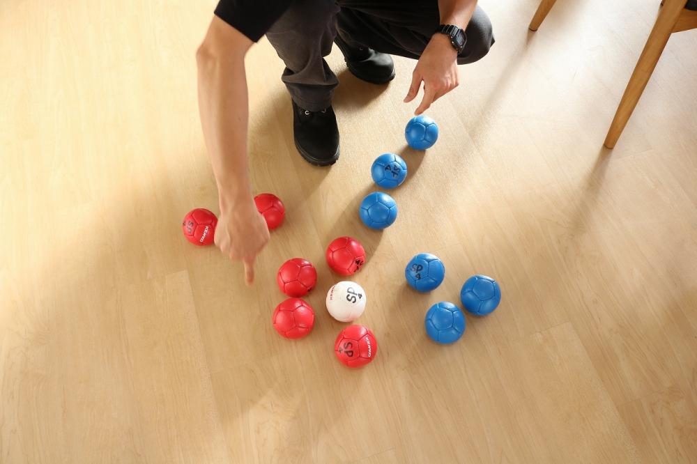 ジャックボール（白い的玉）に向かってボールを投げ合い、 どれだけジャックボールに近づけるかを競う。