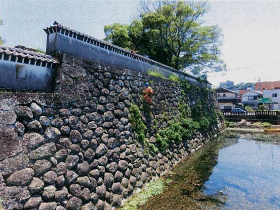 ⑤石田城石垣除草作業