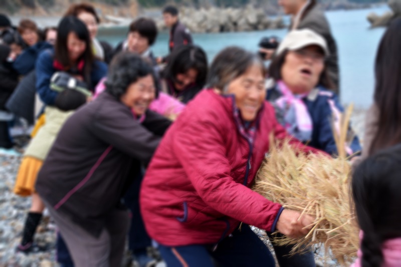 大宝の綱引き（女性側）の画像