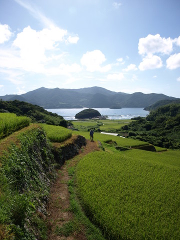 内幸泊地区の棚田の画像