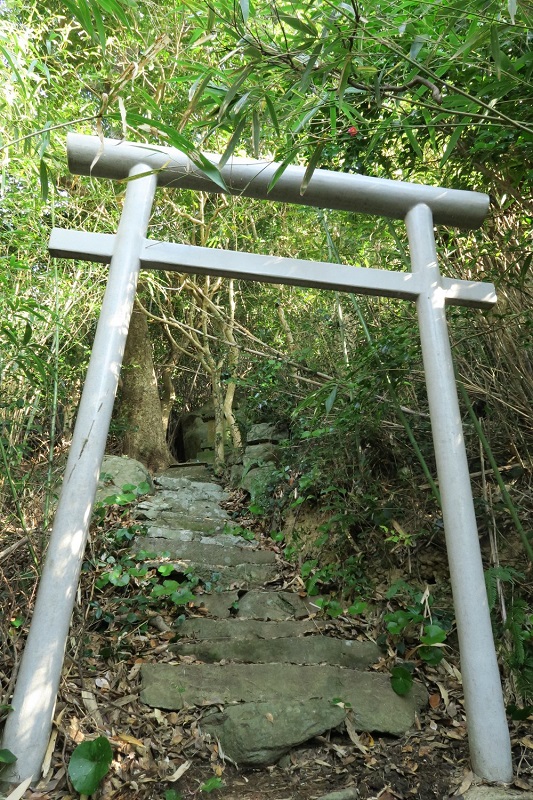 奥の鳥居と祠の画像