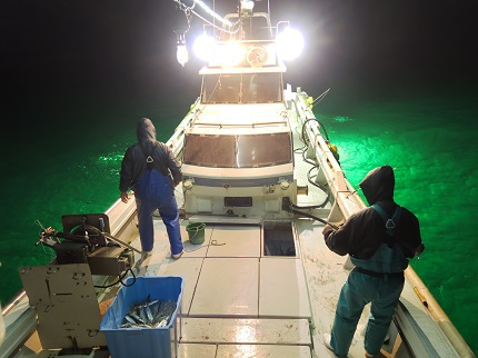 夜中、漁船に灯りをつけて漁をしている様子の写真です。