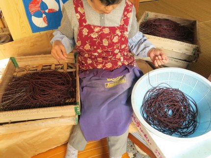 延縄漁の仕掛けを作るナガノくりをしている女性の写真です。