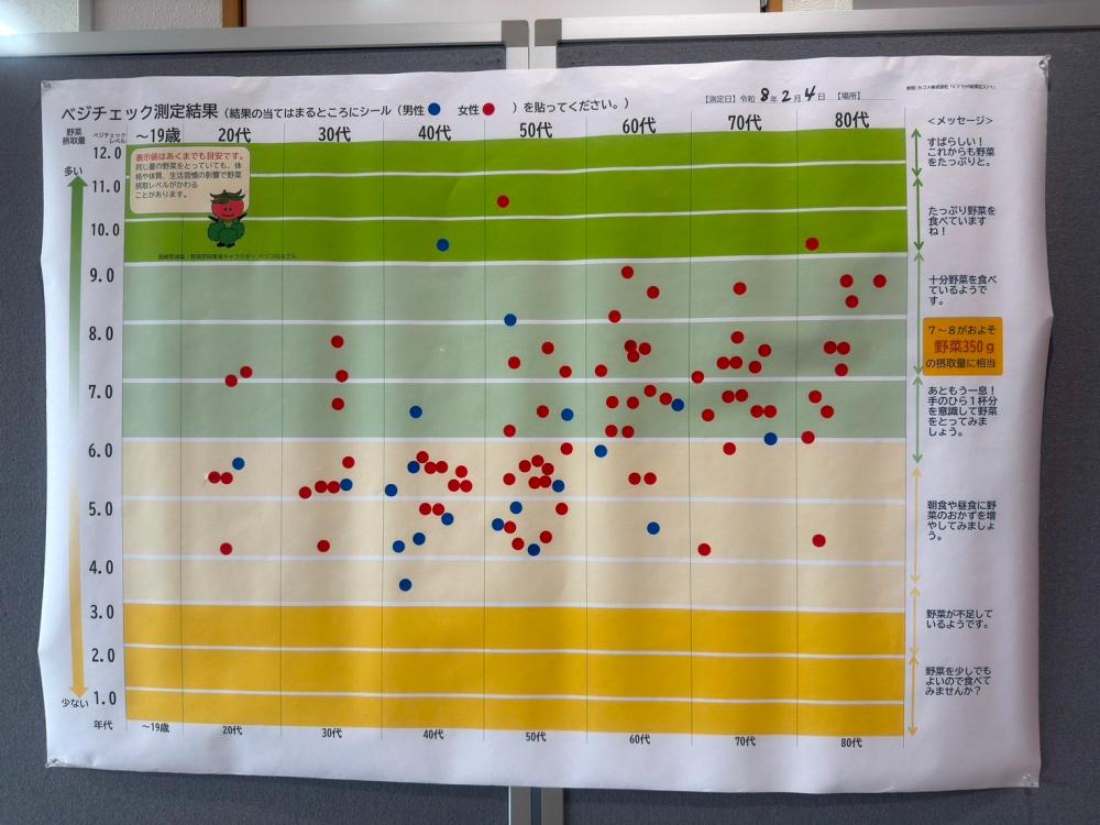 ベジチェックの結果