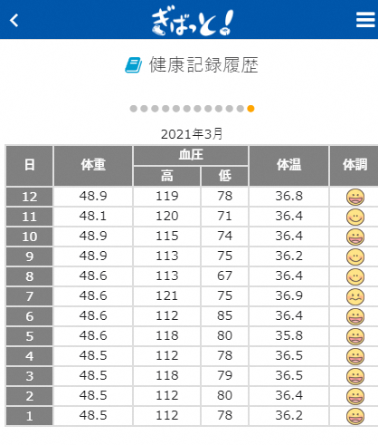 記録画面イメージ