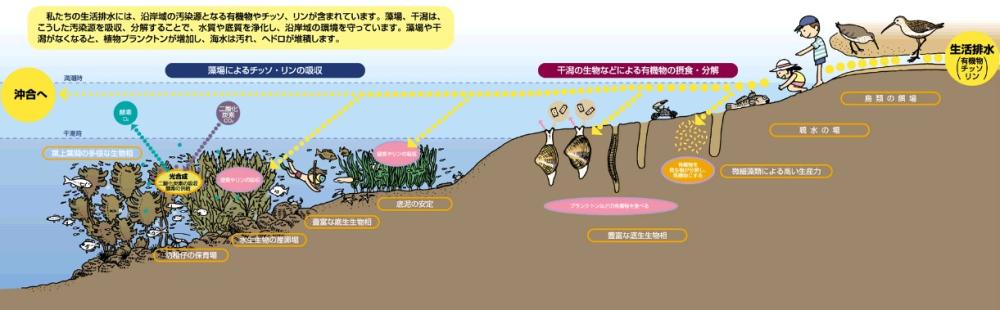 役割（水産庁HP）